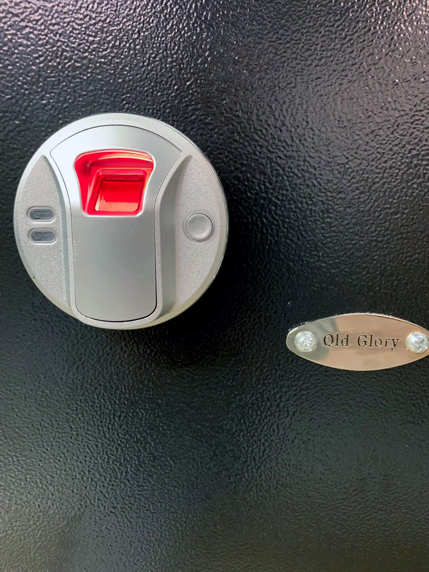 Fingerprint Wall Safe by Old Glory