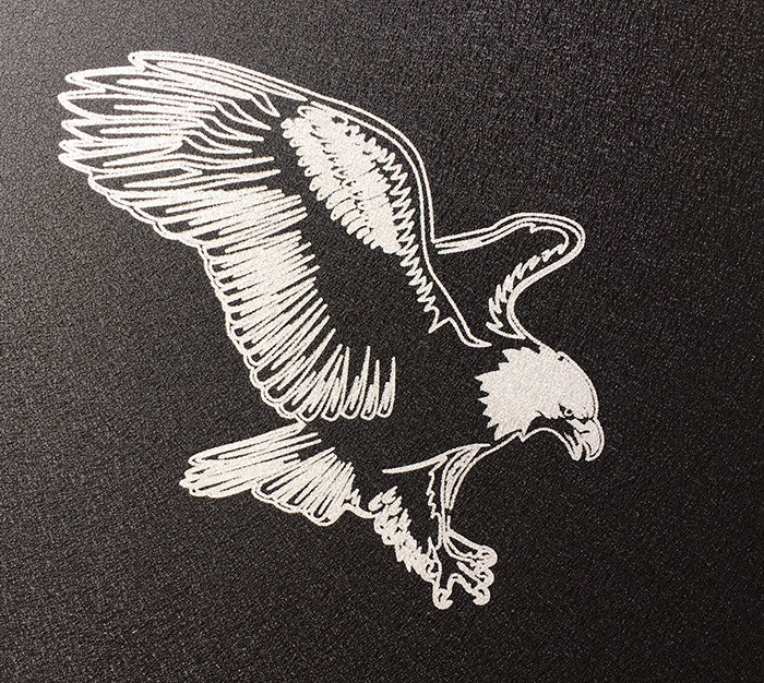 
                  
                    American bald eagle logo
                  
                